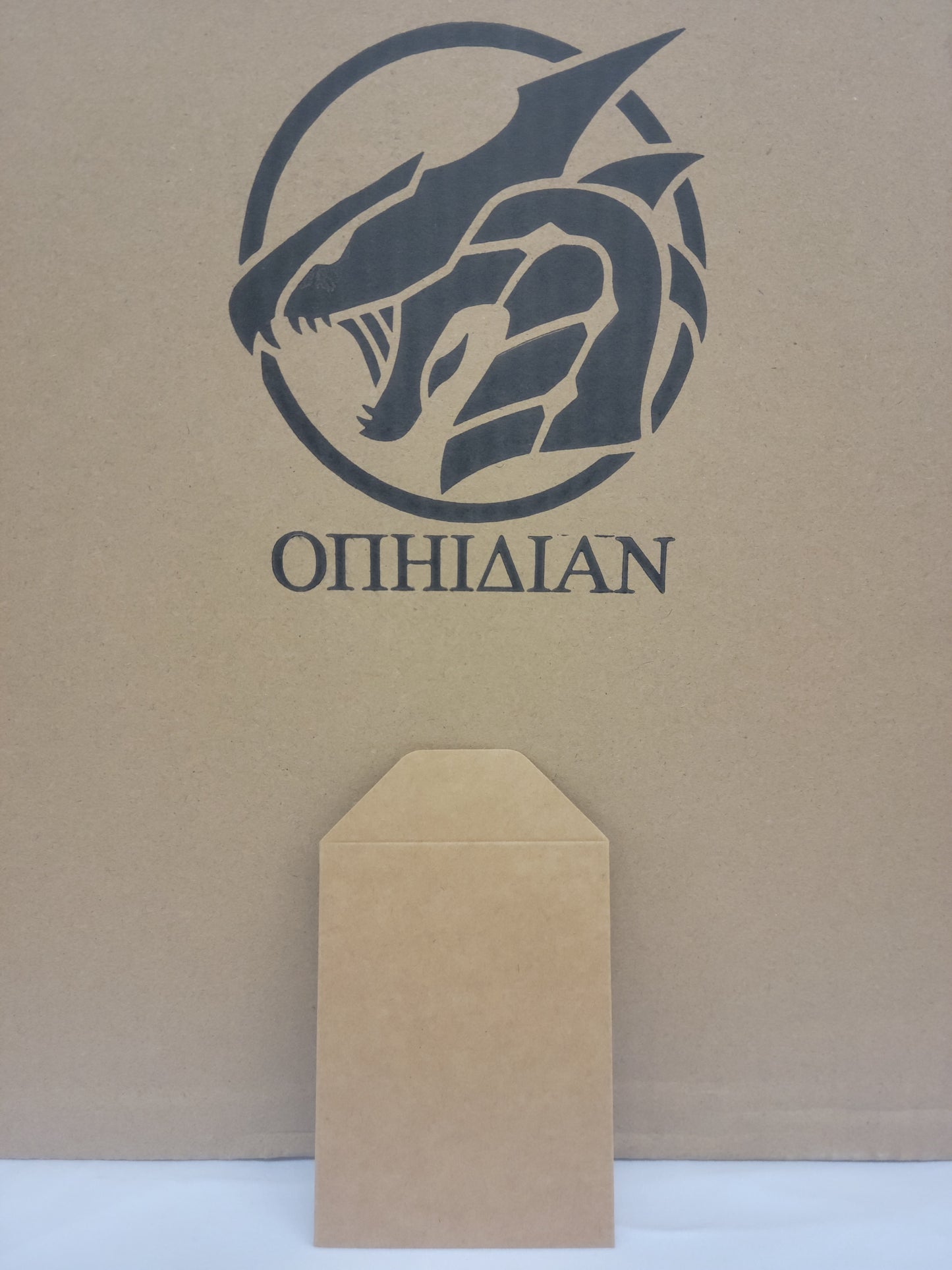 Adhesive Cardboard Shipping Holders (x1000)